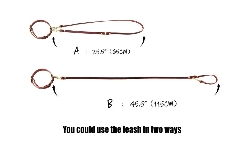 Personalized heavy duty leather dog collar and leash set