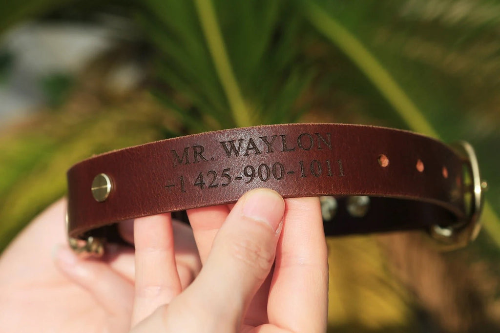 Personalized heavy duty leather dog collar and leash set