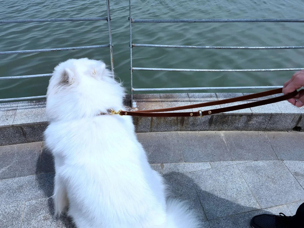 Personalized heavy duty leather dog collar and leash set