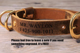 Personalized heavy duty leather large dog collar and leash set with name