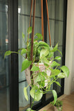 Vintage Brown Leather Plant Hanger holder