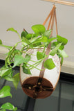 Vintage Brown Leather Plant Hanger holder